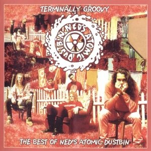 Terminally Groovy: The Best Of Ned's Atomic Dustbin