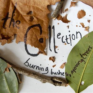 burning bushes, moving trees