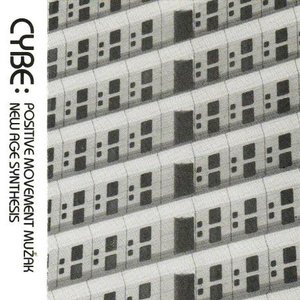 Positive Movement Muzak / New Age Synthesis