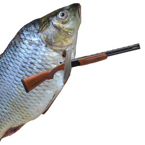 Avatar for Boolus