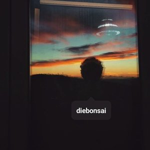 Diebonsai 的头像