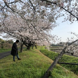 春を待つ僕ら3