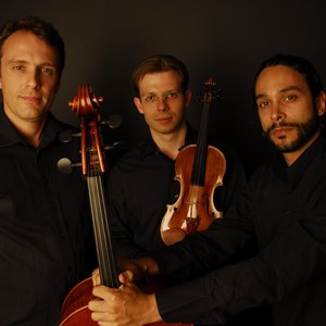 David Trio 的头像