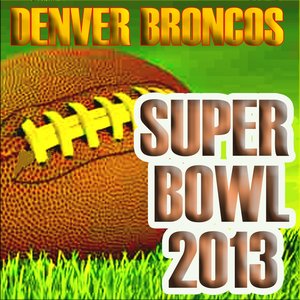 Denver Broncos 2013 Super Bowl Hits
