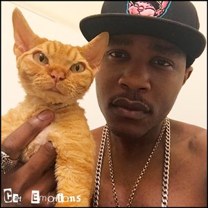 Cat Emotions - Single