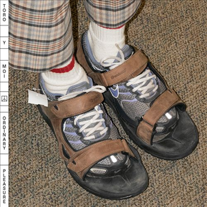 Toro Y Moi - Ordinary Pleasure - Single - Zortam Music