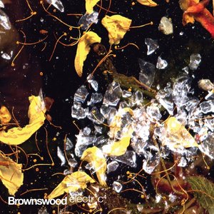 Brownswood Electric 4