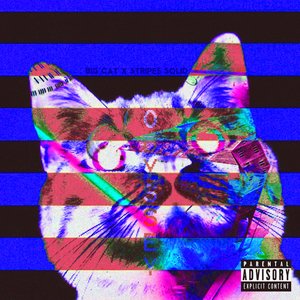 Stripes Solid x BigCat 的头像