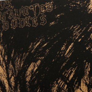 Us, Haunted Bodies 7"