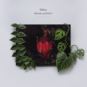 Varieties of Exile I