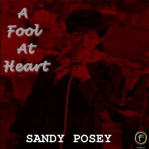 A Fool At Heart