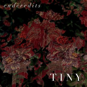 Tiny