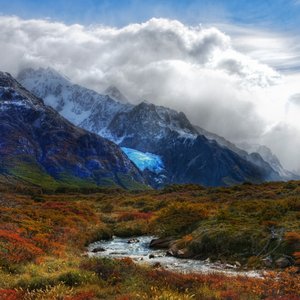 Image for 'Blaugold'