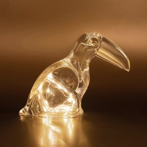 toucan