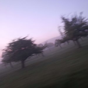 Nachtlied