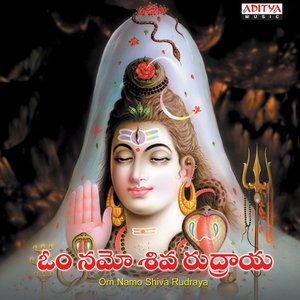 Om Namo Shiva Rudraya