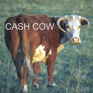 Save Energy - Save Cash