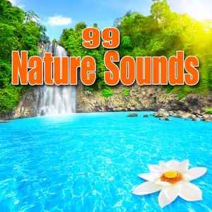 99 Nature Sounds