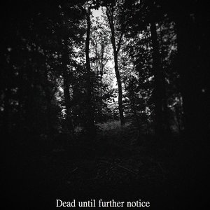 Dead Until Further Notice 的头像
