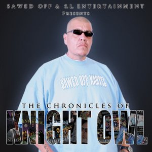 The Chronicles of Knight Owl