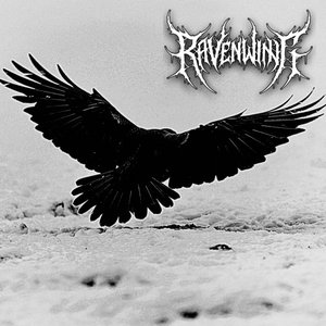 RavenWing 的头像