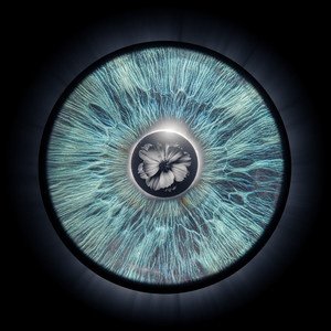 Into Your Eyes