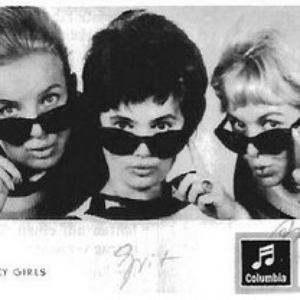 Die Crazy Girls photo provided by Last.fm