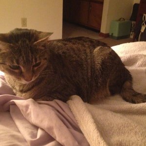 Earlier Kieran Vocal Compositions 2017