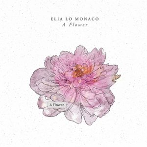 A Flower