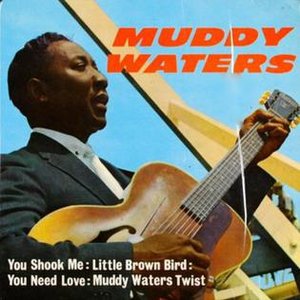 Image for 'Muddy Waters'