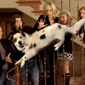 Dog With a Blog 的头像