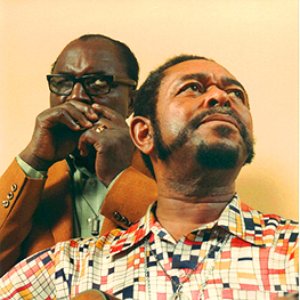 Аватар для Sonny Terry with Brownie McGhee & Leif Johansson