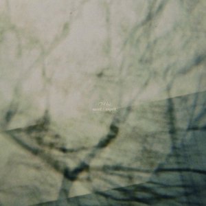saint / esprit