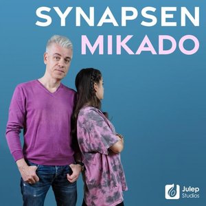 Avatar for Mittermeiers Synapsen Mikado - Gespräche mit einer 14-Jährigen