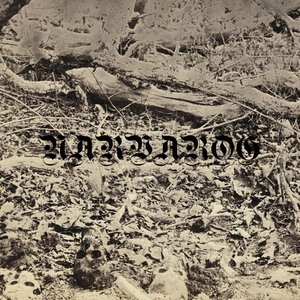 Narvarog 的头像