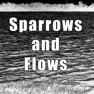 Sparrows and Flows 的头像