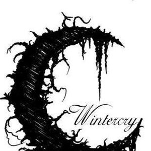 Wintercry 的头像