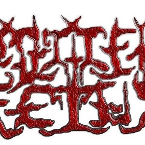 Rotten Fetus 的头像