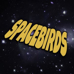 Spacebirds