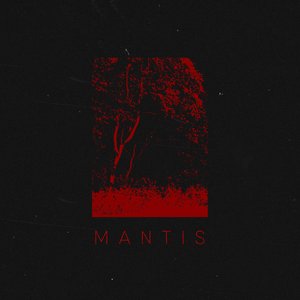 Mantis