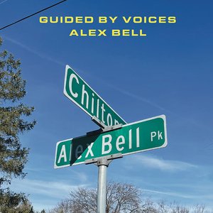 Alex Bell / Focus on the Flock