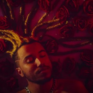 Young Piva のアバター