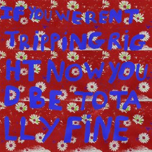 If You Weren't Tripping Right Now You'd Be Totally Fine