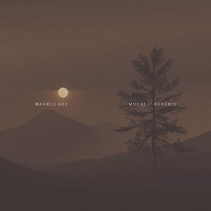 Moonlit Reverie