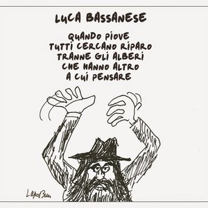 Quando piove tutti cercano riparo tranne gli alberi che hanno altro a cui pensare