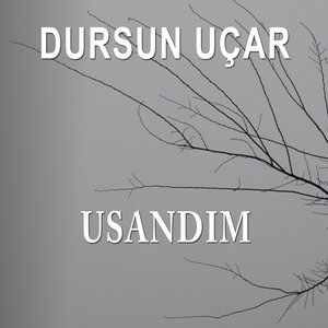 Usandım