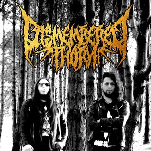Dismembered Thorn 的头像
