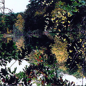 Aluminum Noise photo provided by Last.fm