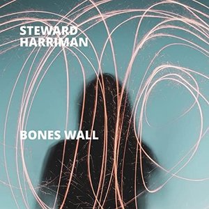 Steward Harriman 的头像