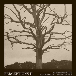 Perceptions II - Single
